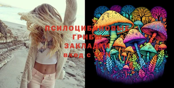 хмурый Арсеньев