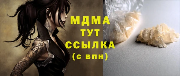 хмурый Арсеньев
