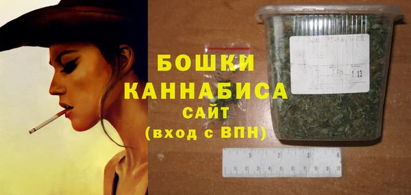 хмурый Арсеньев
