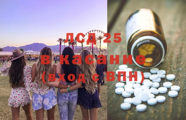 хмурый Арсеньев