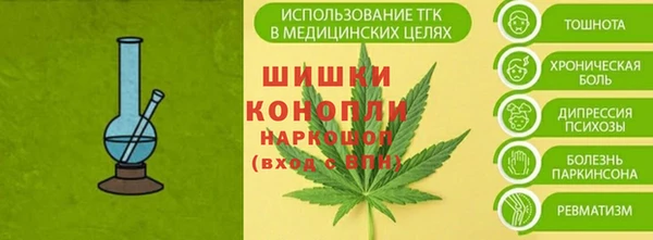 хмурый Арсеньев