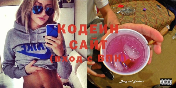 хмурый Арсеньев