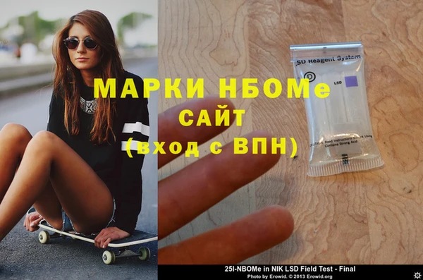 хмурый Арсеньев
